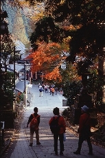 autumn11107.jpg