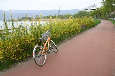 bicycle_080508.jpg