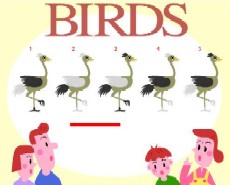 birds080821.JPG