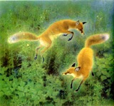 fox_110726.jpg
