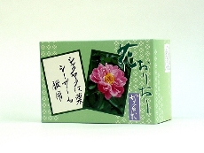 karuta110426.jpg