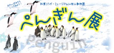 penguin_120116.jpg