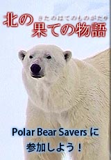 polarbear_090112.jpg