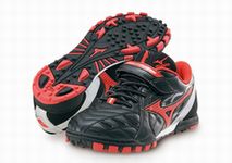 shoesmizuno100804.jpg