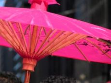 umbrella130527.jpg